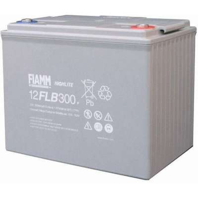 Аккумуляторная батарея Fiamm 12 FLB 300